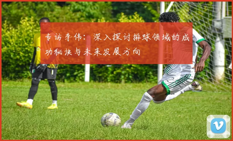 专访李伟：深入探讨排球领域的成功秘诀与未来发展方向