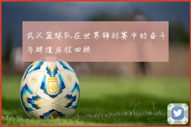 武汉篮球队在世界锦标赛中的奋斗与辉煌历程回顾